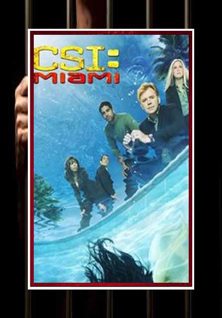 (image for) CSI: Miami - Complete Series